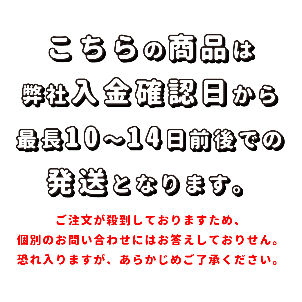 キャラクターset マイメロディうさぎ年コラボドーナツbox 冷凍